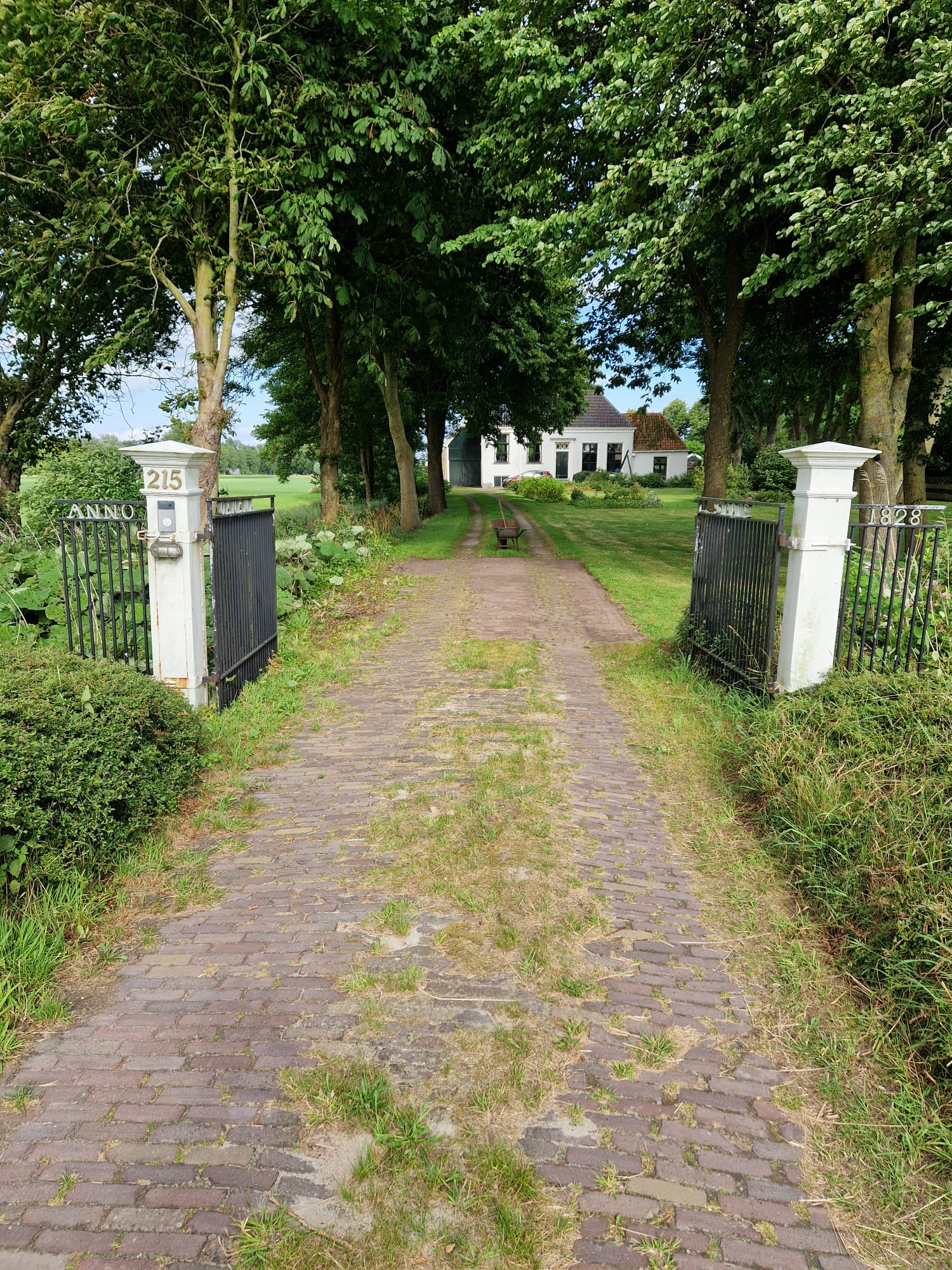 - image: 10