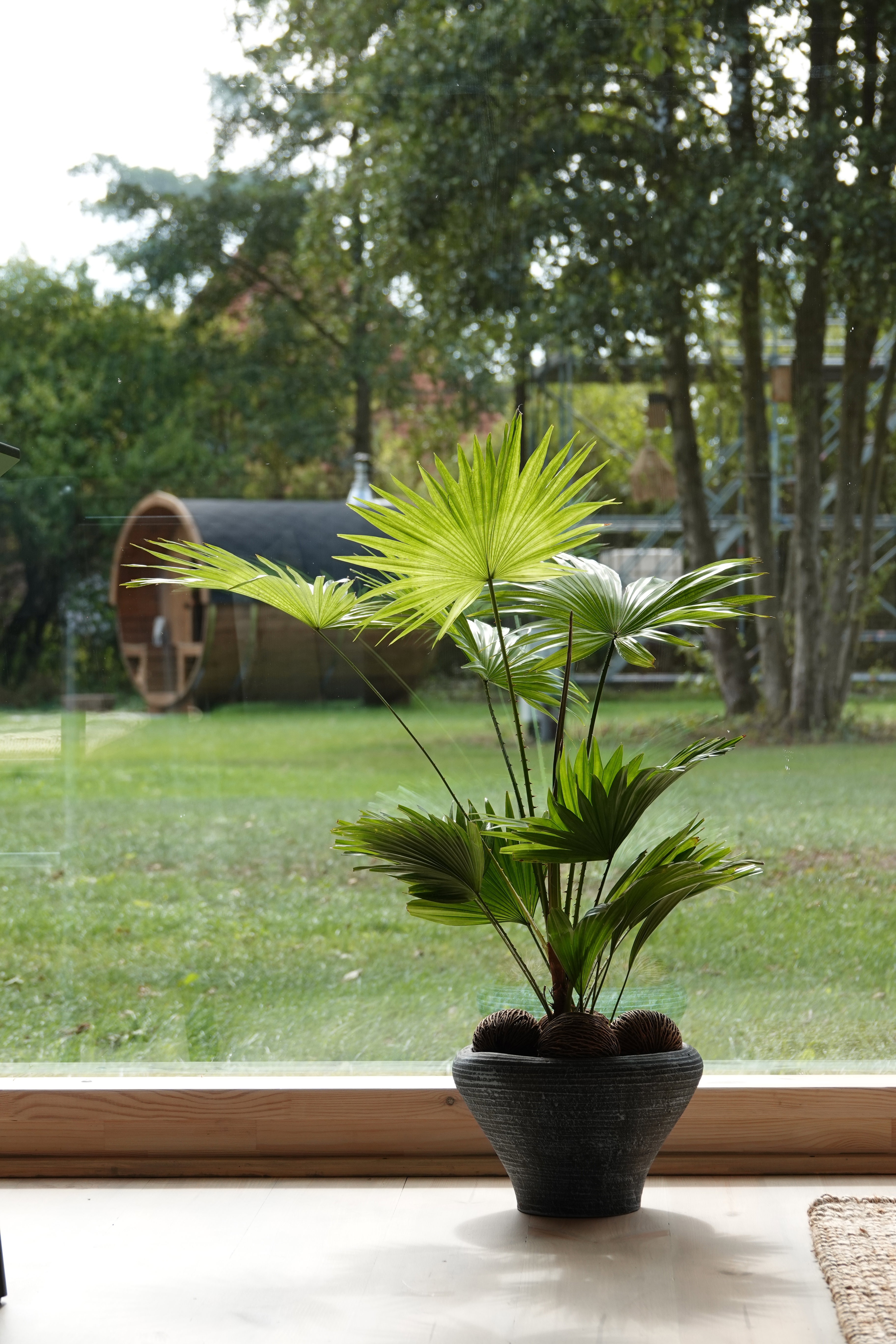 Maison nature à Opeinde