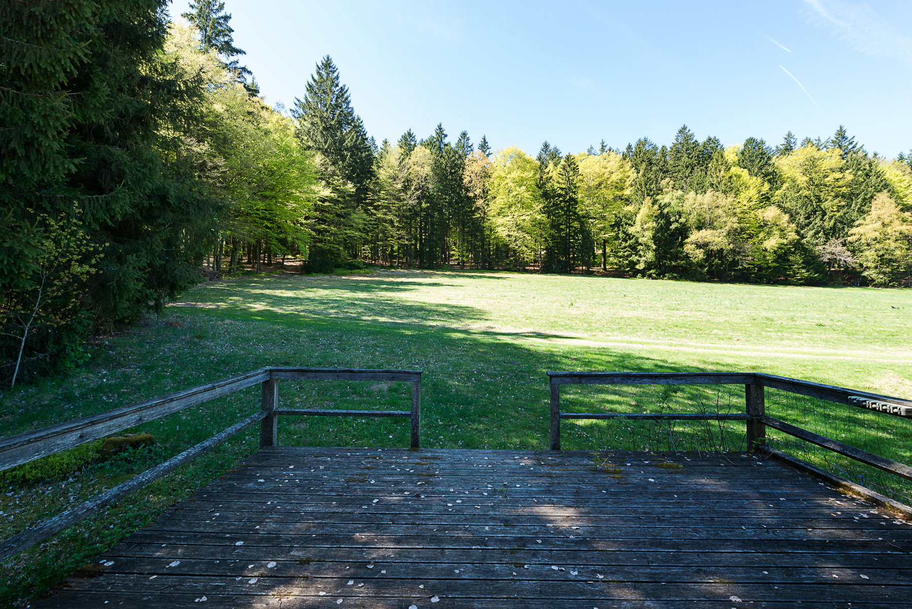 - image: 12