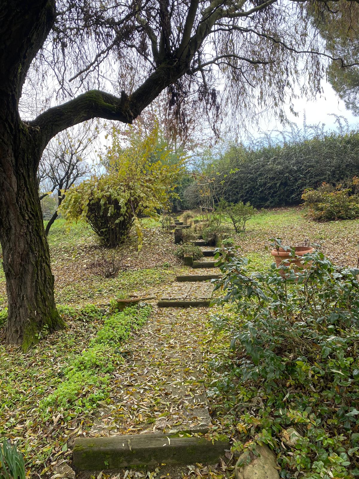 - image: 88