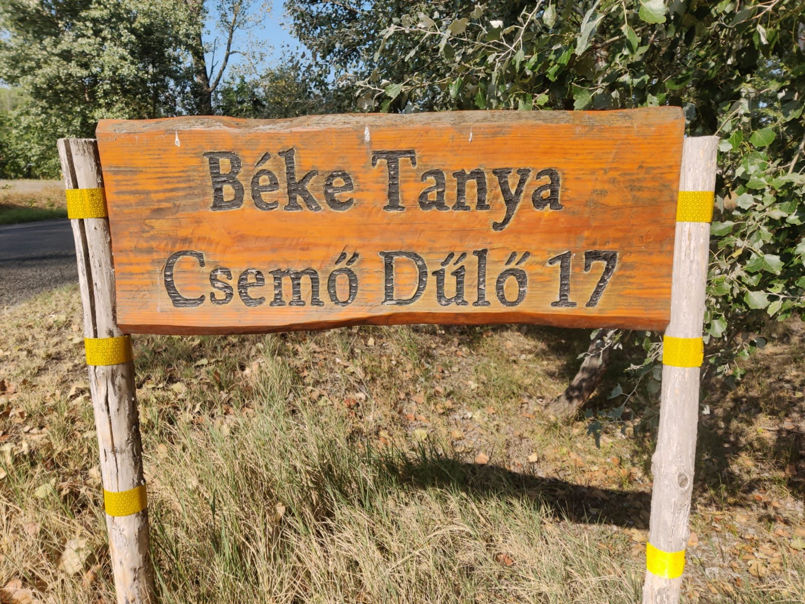 - image: 10