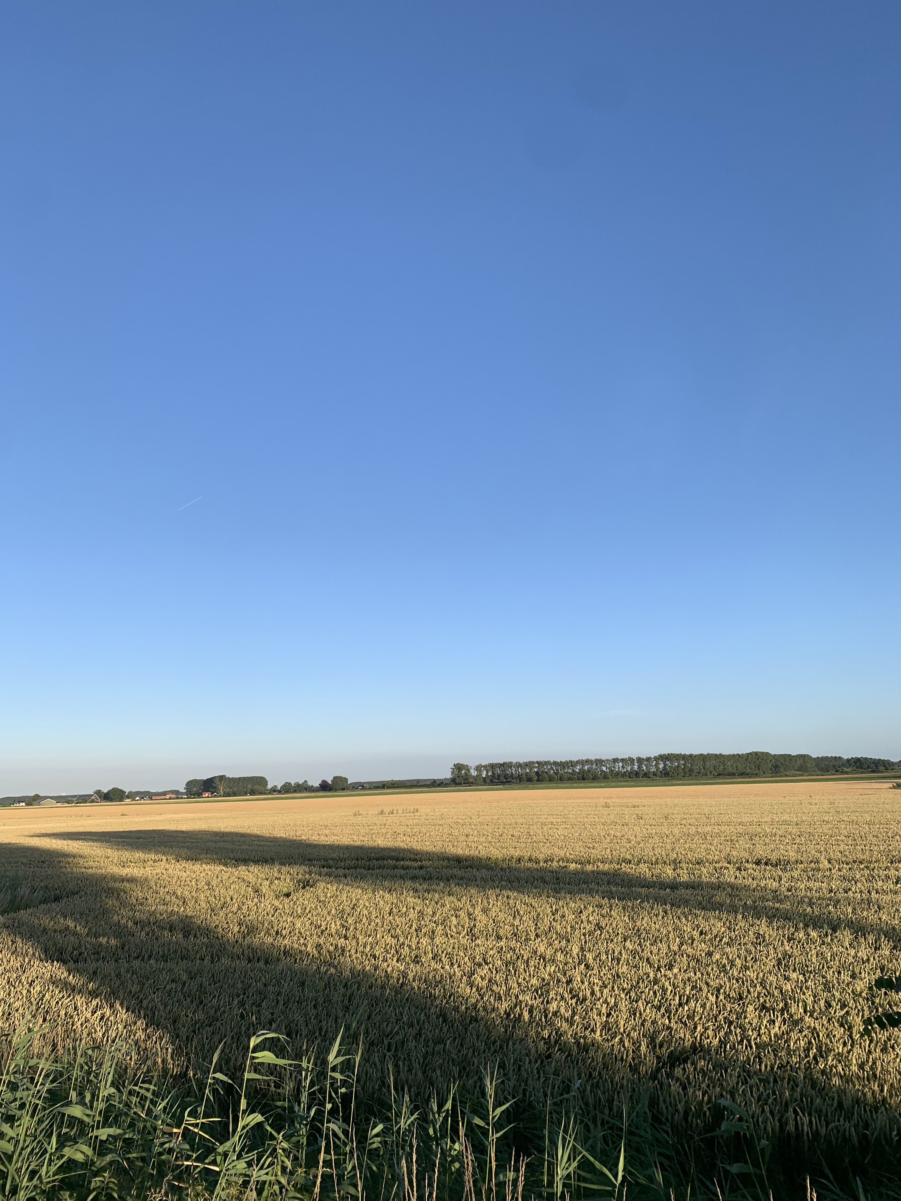 Natuurhuisje in Lamswaarde