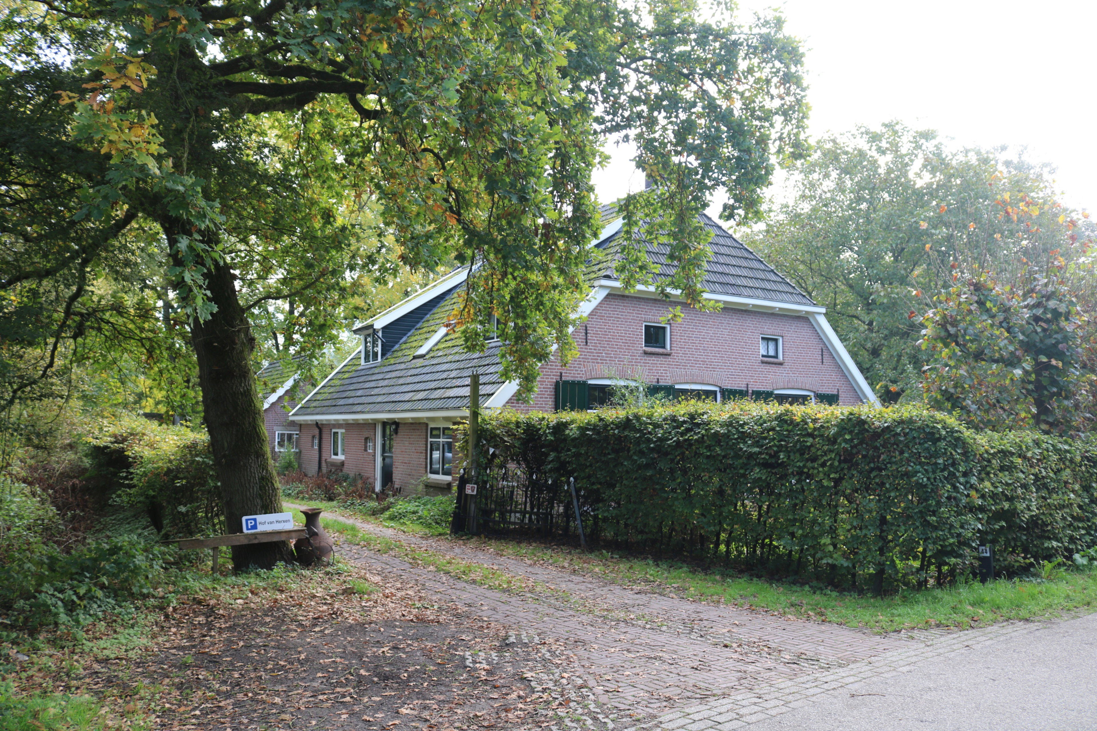 - image: 18
