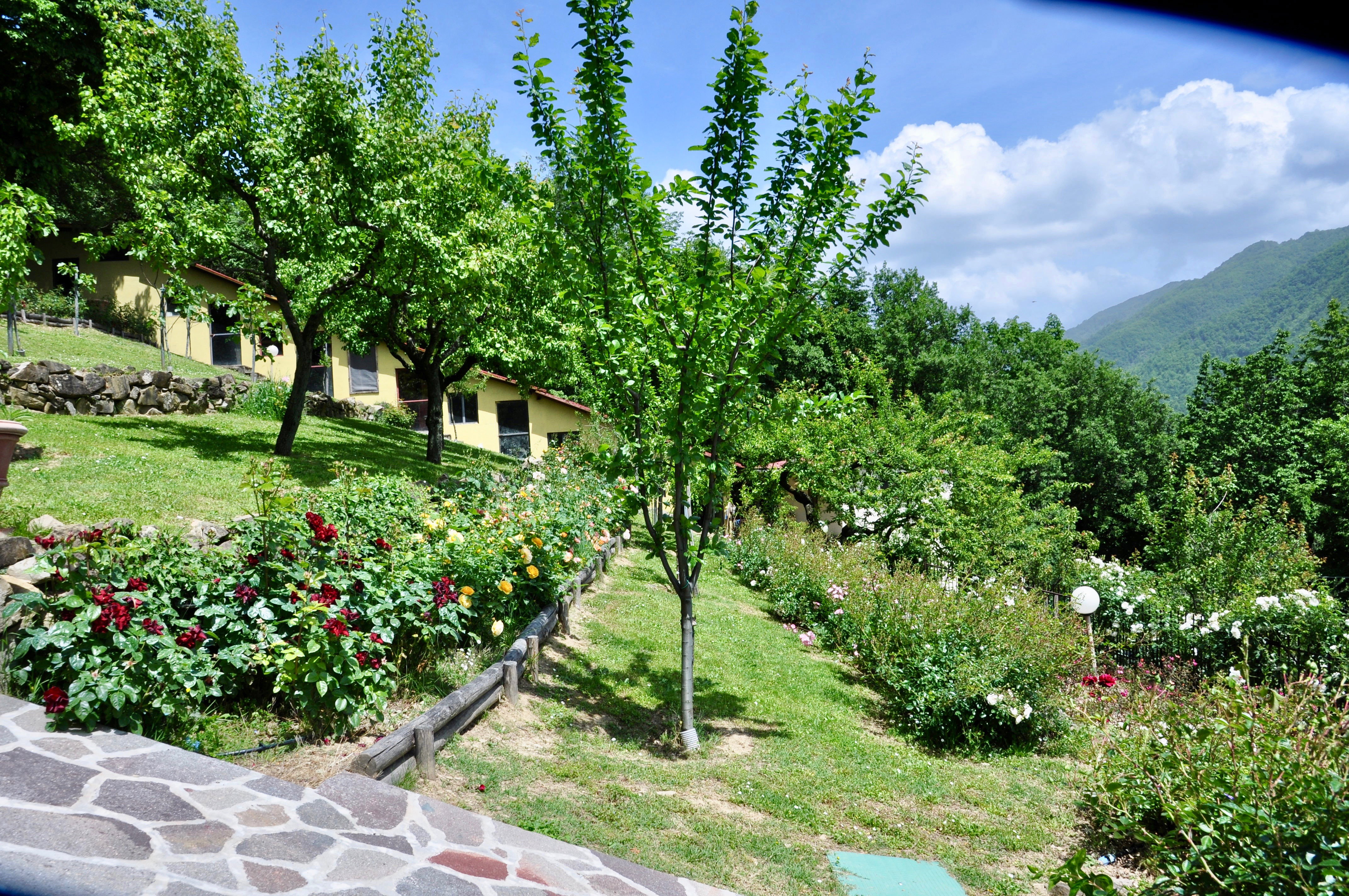 - image: 12