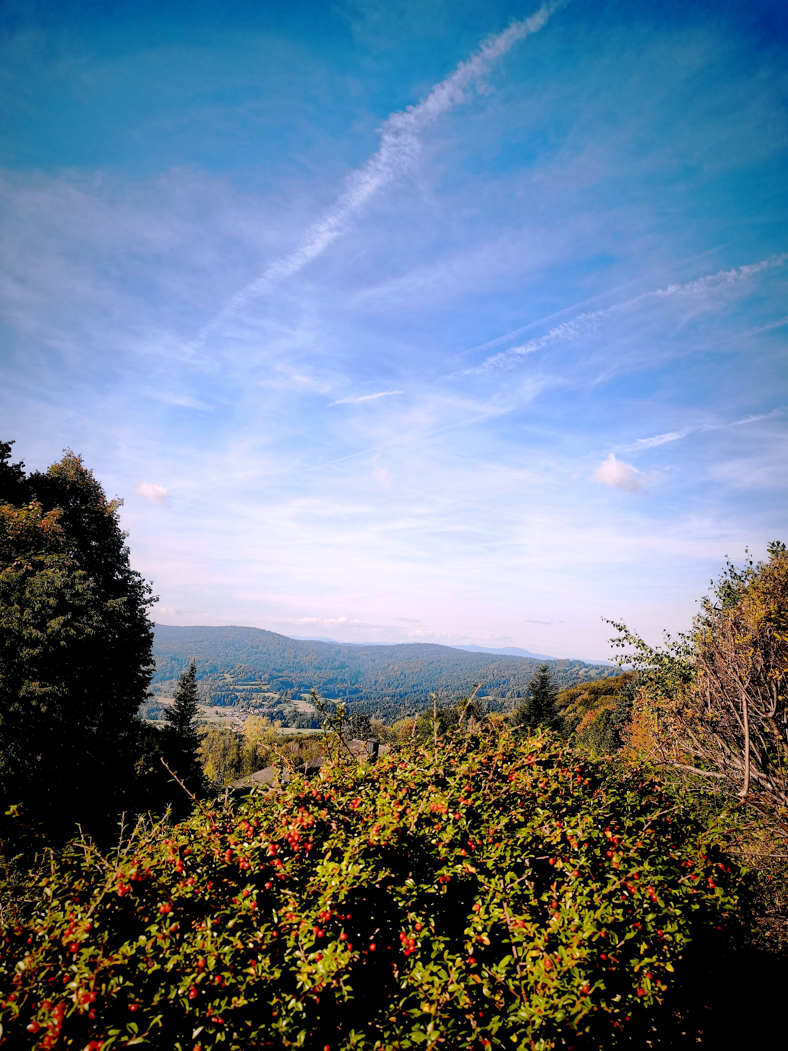 - image: 13