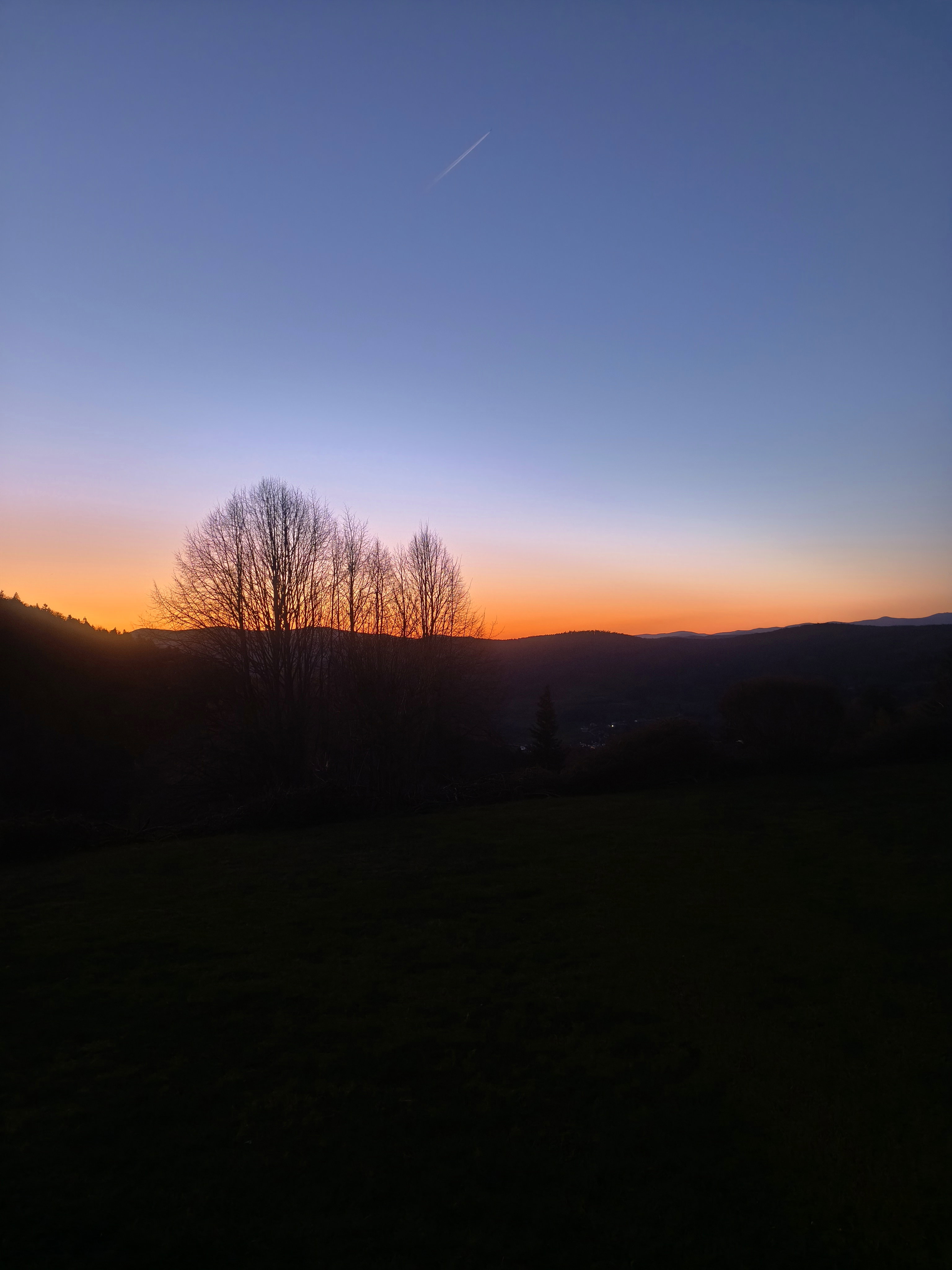 - image: 15