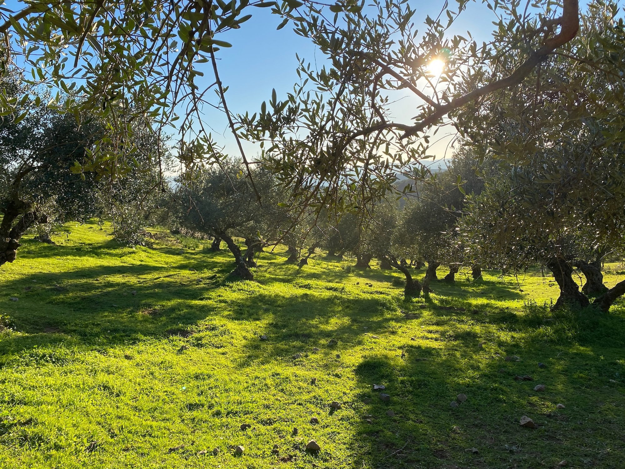 Natuurhuisje in La Puebla de los Infantes