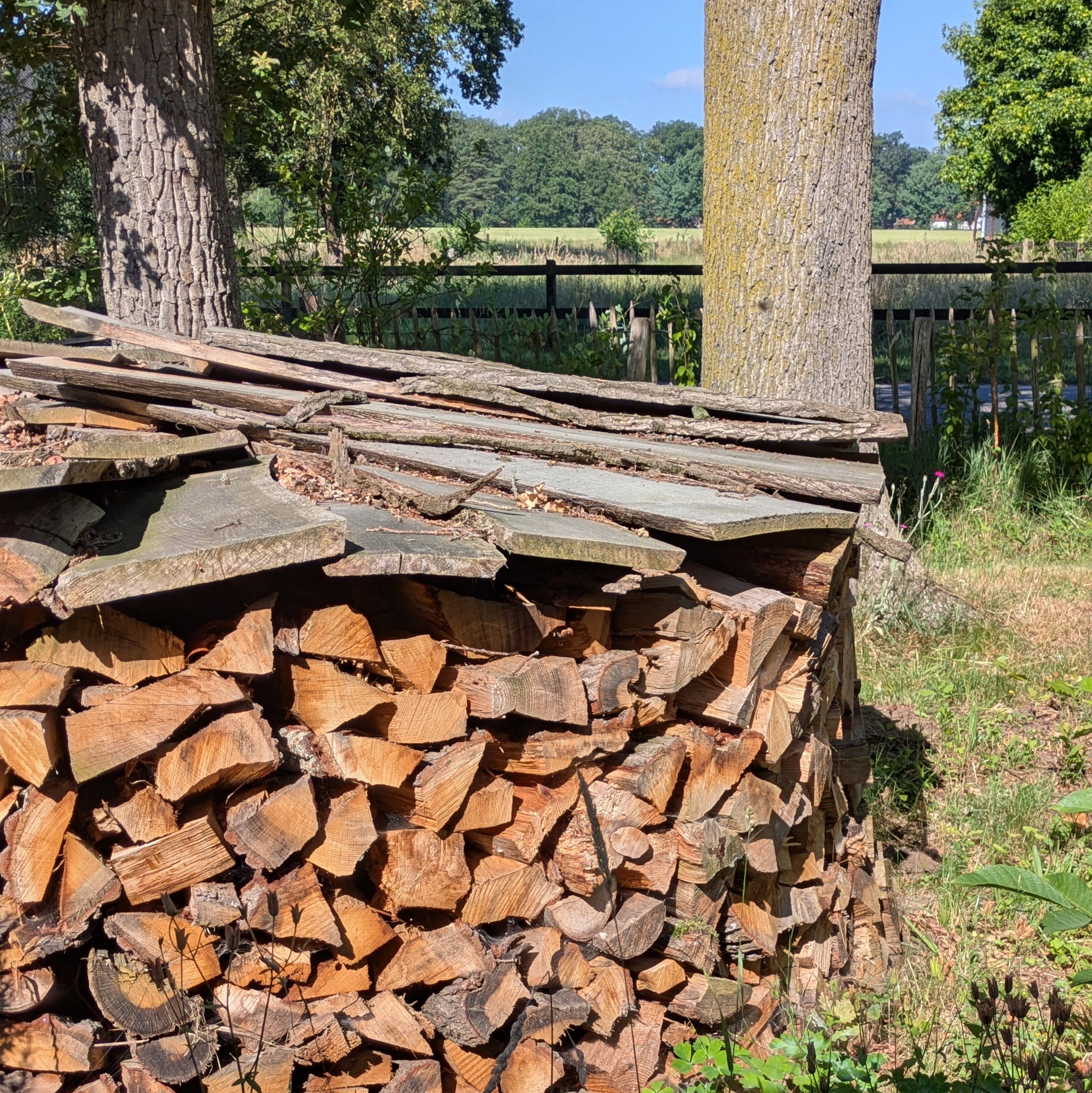 Nature house in Winterswijk Kotten