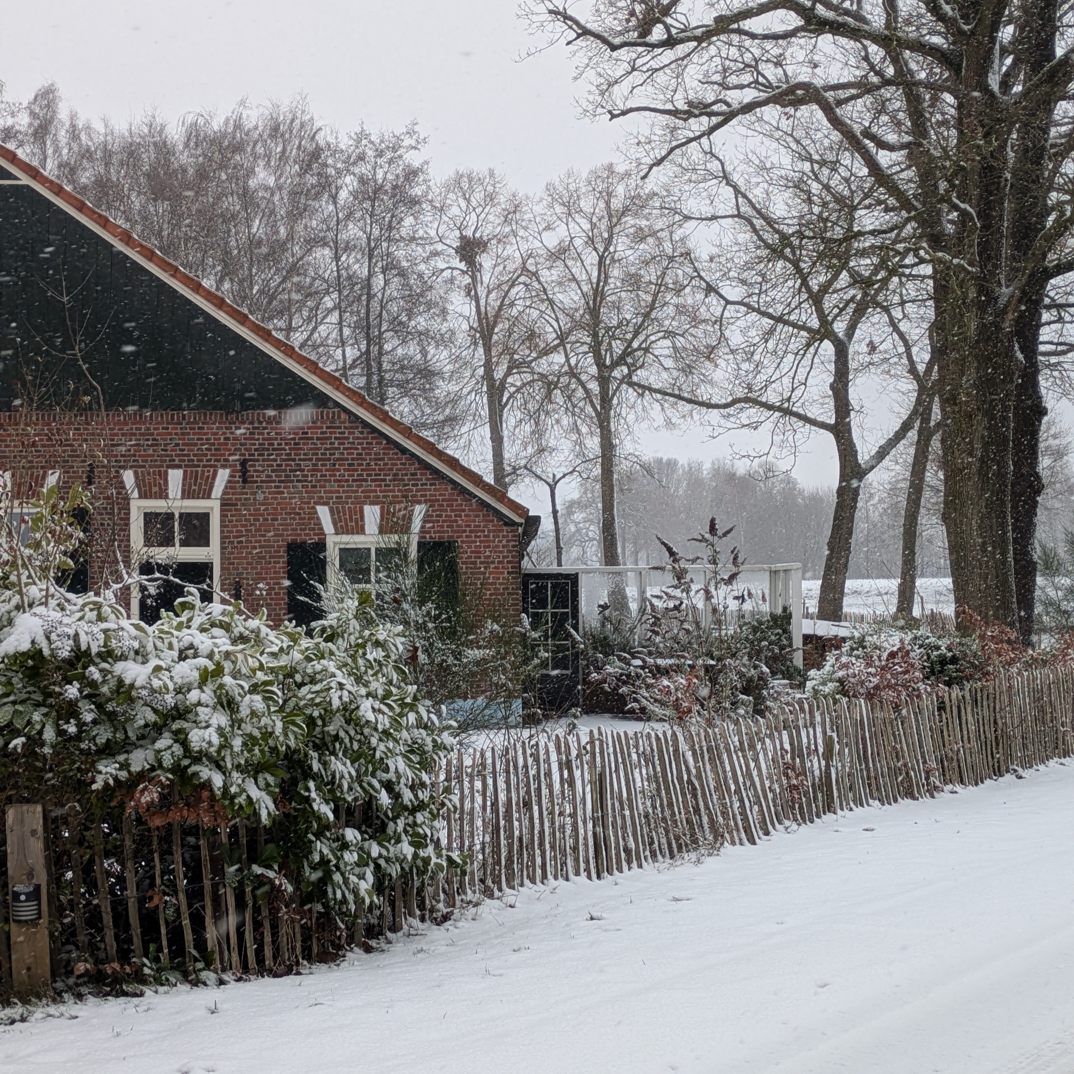 Nature house in Winterswijk Kotten