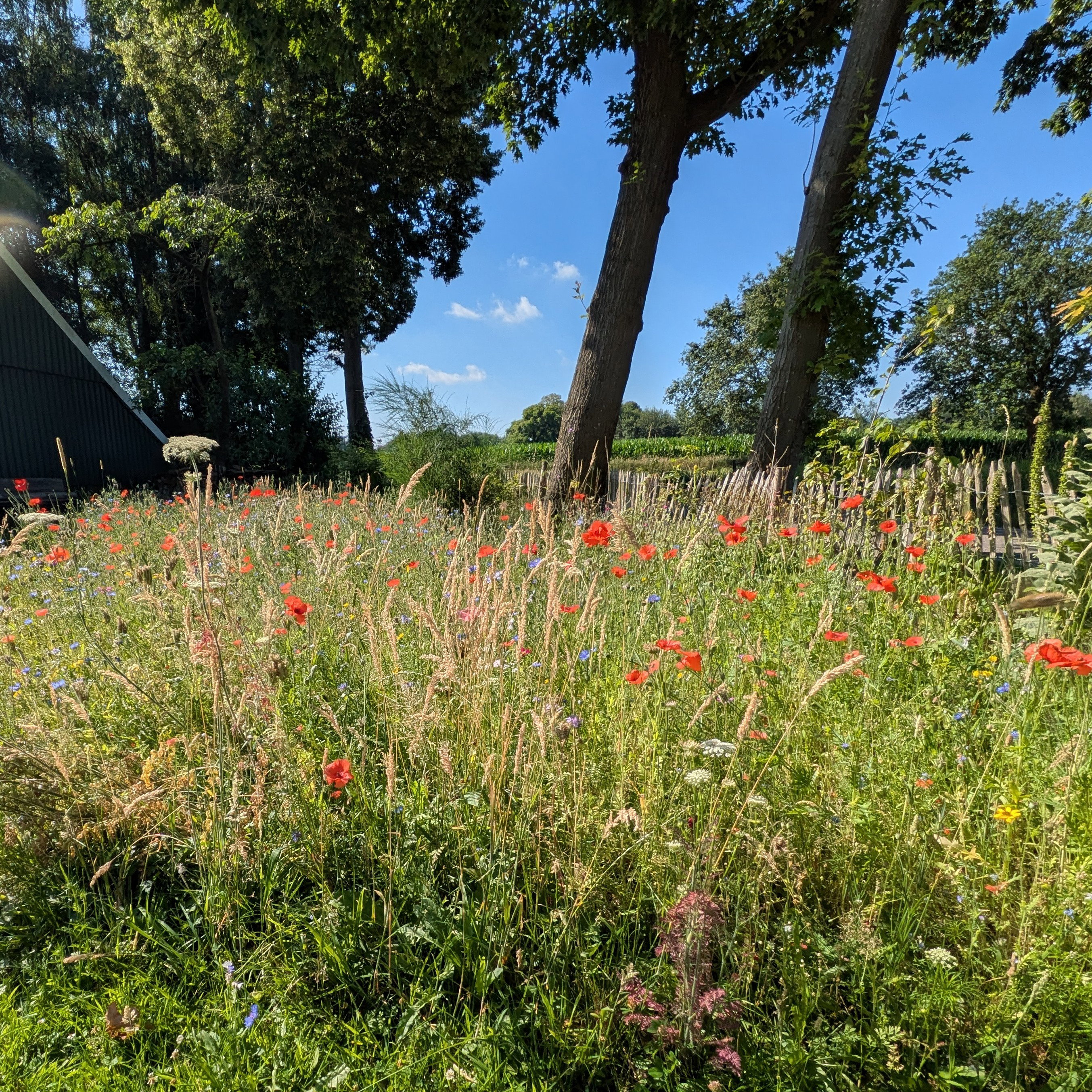 Nature house in Winterswijk Kotten