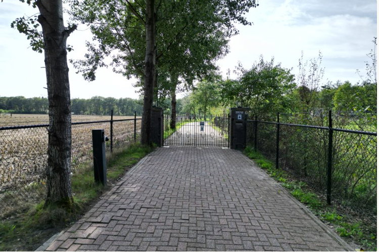 - image: 11