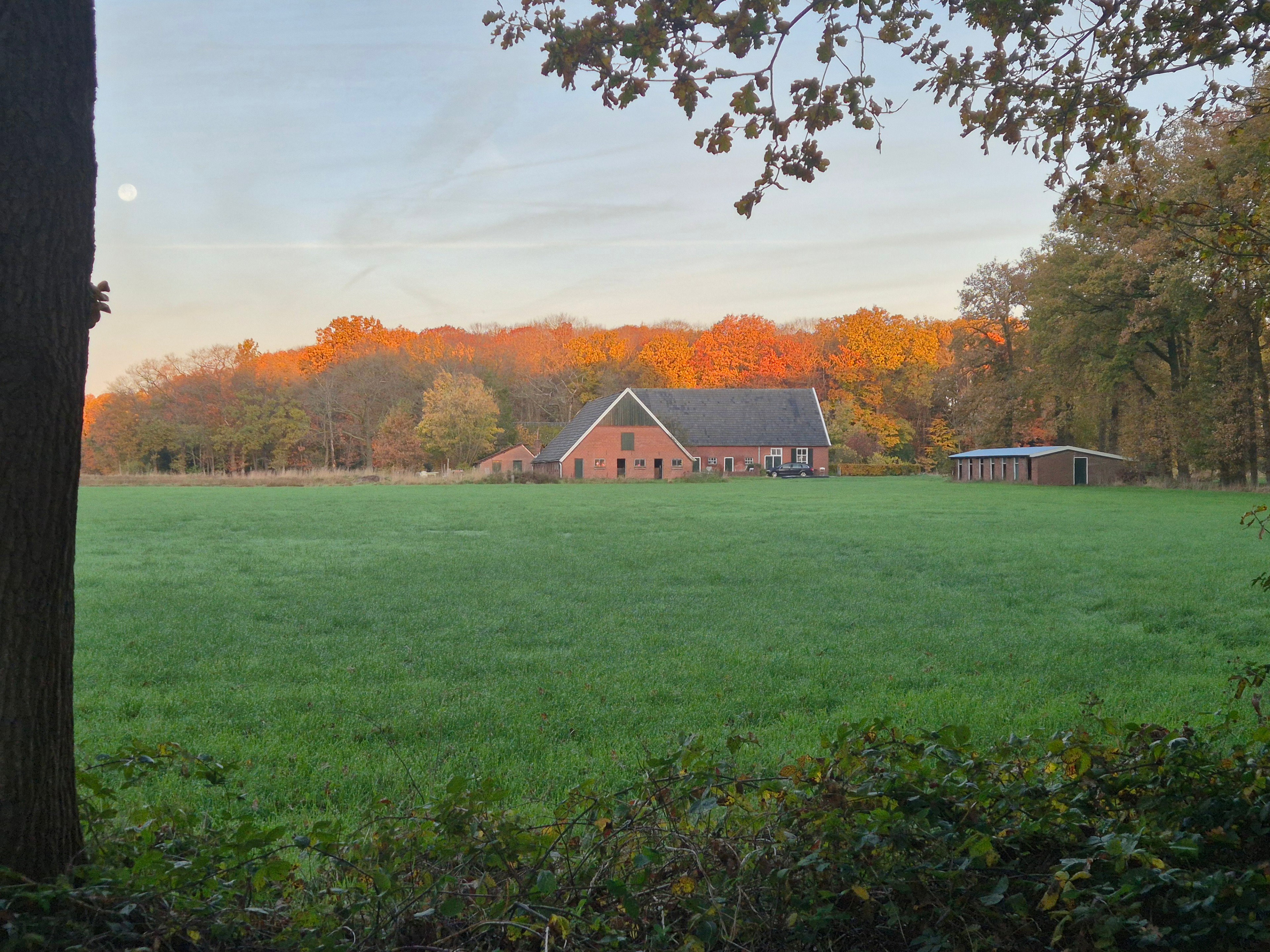 Nature house in Winterswijk Woold