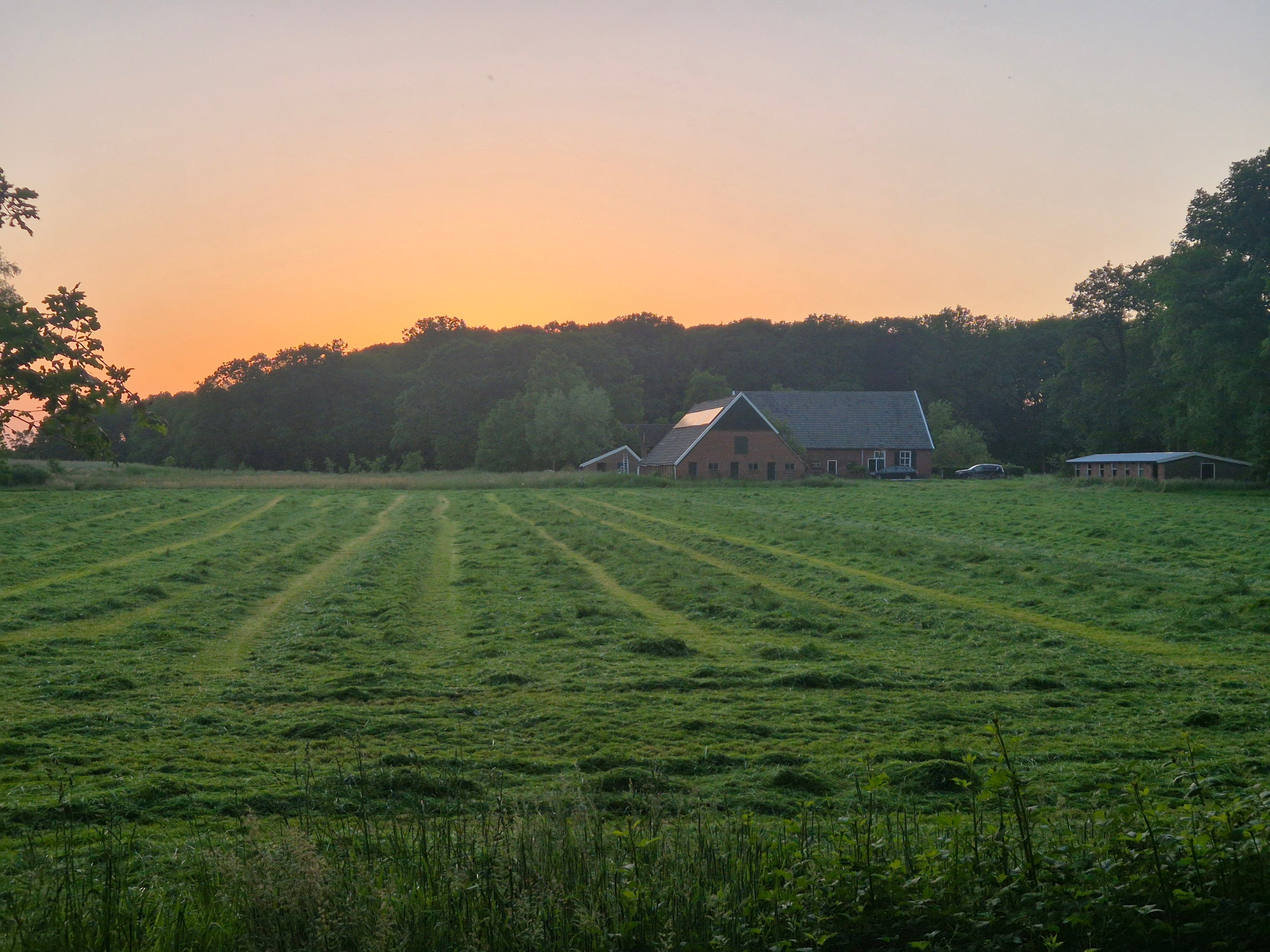 Nature house in Winterswijk Woold