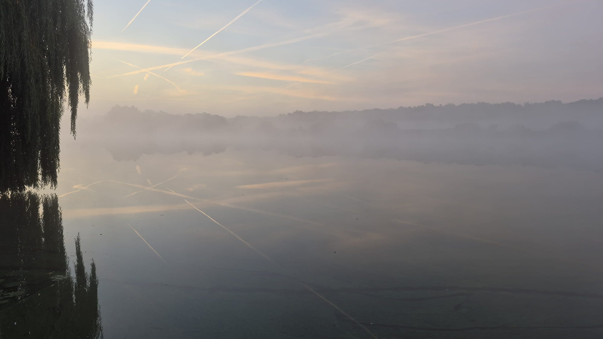 - image: 26